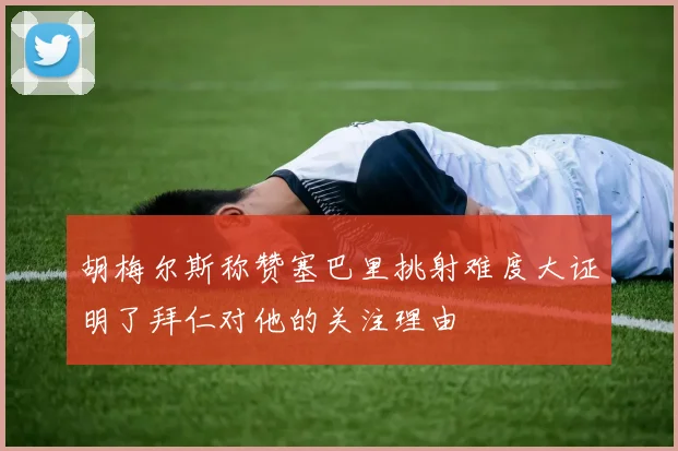 胡梅尔斯称赞塞巴里挑射难度大证明了拜仁对他的关注理由